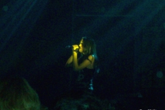 14-charleroi