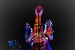 gemme_tour-grand_rex-15