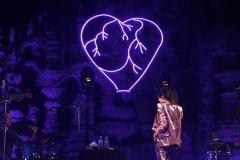 gemme_tour-hauterives-08