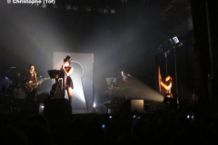 001-la_cigale
