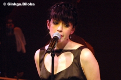 263-la_cigale