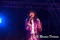gemme_tour-nuits_saint_georges-04