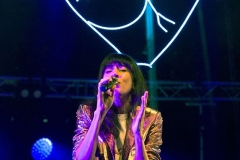 gemme_tour-nuits_saint_georges-05