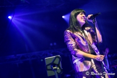gemme_tour-nuits_saint_georges-10