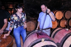 gemme_tour-nuits_saint_georges-100