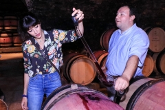gemme_tour-nuits_saint_georges-103