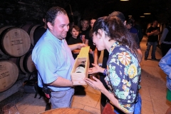 gemme_tour-nuits_saint_georges-106