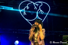 gemme_tour-nuits_saint_georges-11