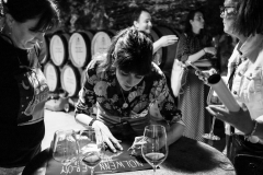 gemme_tour-nuits_saint_georges-111