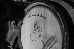 gemme_tour-nuits_saint_georges-115