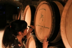 gemme_tour-nuits_saint_georges-117