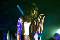 gemme_tour-nuits_saint_georges-12