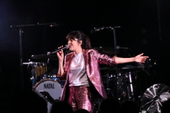 gemme_tour-nuits_saint_georges-16