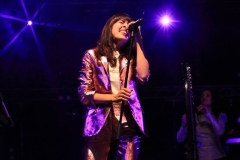 gemme_tour-nuits_saint_georges-44