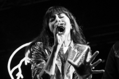gemme_tour-nuits_saint_georges-45