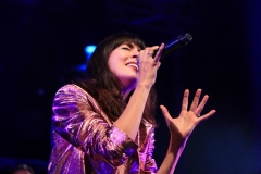 gemme_tour-nuits_saint_georges-48