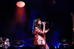 gemme_tour-nuits_saint_georges-49