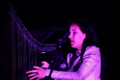 gemme_tour-nuits_saint_georges-51