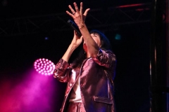 gemme_tour-nuits_saint_georges-52