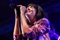gemme_tour-nuits_saint_georges-56