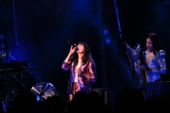gemme_tour-nuits_saint_georges-60