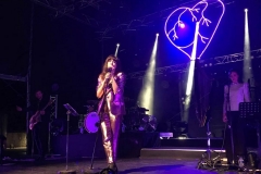 gemme_tour-nuits_saint_georges-62