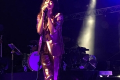gemme_tour-nuits_saint_georges-65