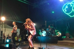 gemme_tour-nuits_saint_georges-66