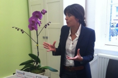orchidee2015-14