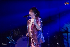 gemme_tour-plougastel-05