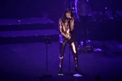 gemme_tour-toulouse-01