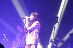 gemme_tour-toulouse-03