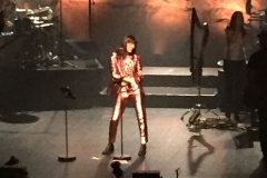 gemme_tour-toulouse-05