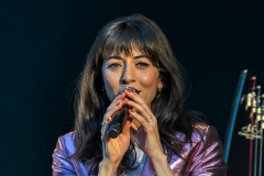 gemme_tour-vertou-410
